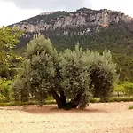 La Caseta De Pedris Country house Valderrobres