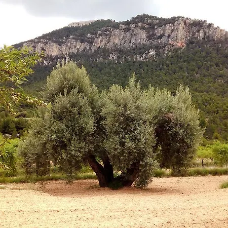 La Caseta De Pedris Casa di campagna Valderrobres
