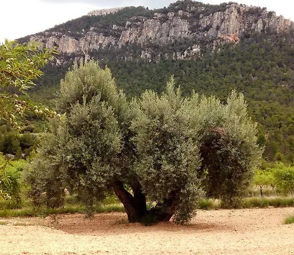 La Caseta De Pedris Landsted Valderrobres